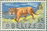 Mountain Lion (Felis concolor) - Overprinted