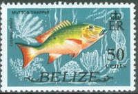 Mutton Snapper (Lutianus analis)