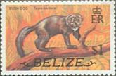 Bush Dog (Tayra barbara)