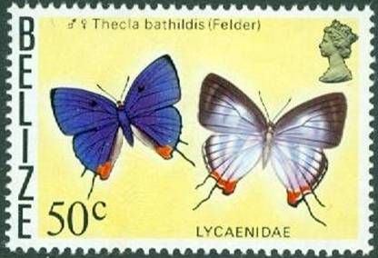Thecla bathildis