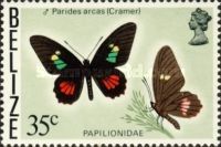 Cattleheart Butterfly (Parides arcas)