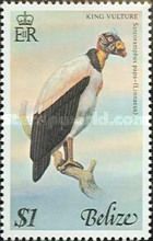 King Vulture (Sarcorhamphus papa)