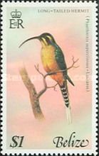 Long-tailed Hermit (Phaethornis superciliosus)