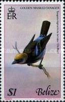 Golden Masked Tanager (Tangara nigrocincta larvata)