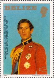 Prince Charles in Military Uniform