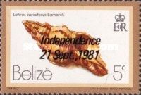Trochlear Latirus (Latirus cariniferus) - Overprinted