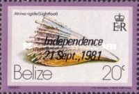 Rigid Pen Shell (Atrina rigida) - Overprinted