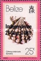 Knobby Scallop (Chlamys imbricata) - Overprinted