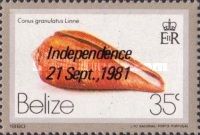 Glory-of-the-Atlantic Cone (Conus granulatus) - Overprinted