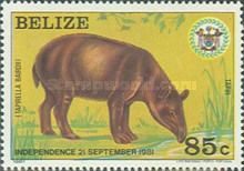 Baird's Tapir (Tapirella bairdii)