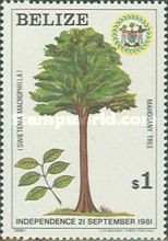 Mahogany Tree (Swietenla macrophilla)