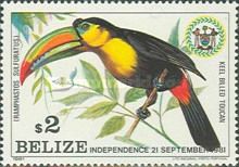 Keel Billed Toucan (Ramphastos sulfuratus)