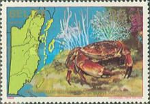 Batwing Coral Crab (Carpilius corallinus)