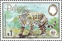 Jaguar (Panthera onca) on Rock
