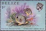 Foureye Butterflyfish (Chaetodon capistratus)