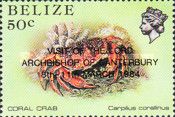 Coral Crab (Carpilius corallinus)