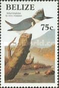 Belted Kingfisher (Megaceryle alcyon)