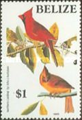 Northern Cardinal (Cardinalis cardinalis)