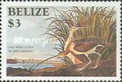 Long-billed Curlew (Numenius americanus)
