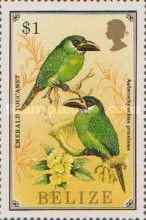 Emerald Toucanet (Aulacorhynchus prasinus)