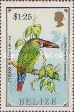 Crimson-rumped Toucan (Aulacorhynchus haematopygus)