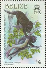 Howler Monkey (Alouatta caraya) Defending Territory
