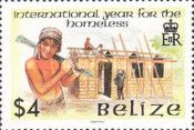 Building Modern House in Belize