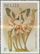 Laelia euspatha
