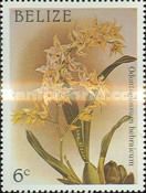 Odontoglossum hebraicum