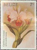 Cattleya trianae var.schroederae