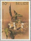 Chysis bractescens