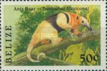 Ants Bear (Tamandua mexicana)
