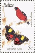 Piranga leucoptera and Catonephele numilia
