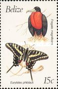 Fregata magnificens and Eurytides philolaus