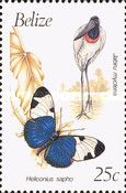 Jabiru mycteria and Heliconius sapho