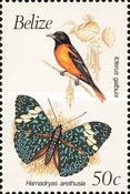 Icterus galbula and Hamadryas arethusia
