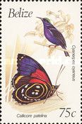 Cyanerpes cyaneus and Callicore patelina