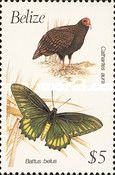 Cathartes aura and Battus belus