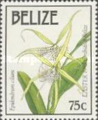 Epidendrum ciliare