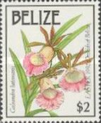 Galeandra batemanii