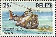 Sud Aviation SA 330E Puma Helicopter