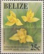 Lycaste aromatica