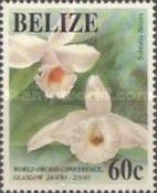 Sobralia decora