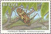 Harlequin Beetle (Acrocinus longimanus)