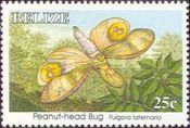 Peanut-headed Bug (Fulgora laternaria)