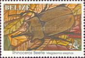 Rinoceros Beetle (Megasoma elephas)