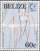 Brassavola cucullata - Overprinted