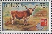 Longhorn