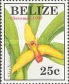 Maxillaria elatior
