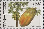 Papaya (Carica papaya)